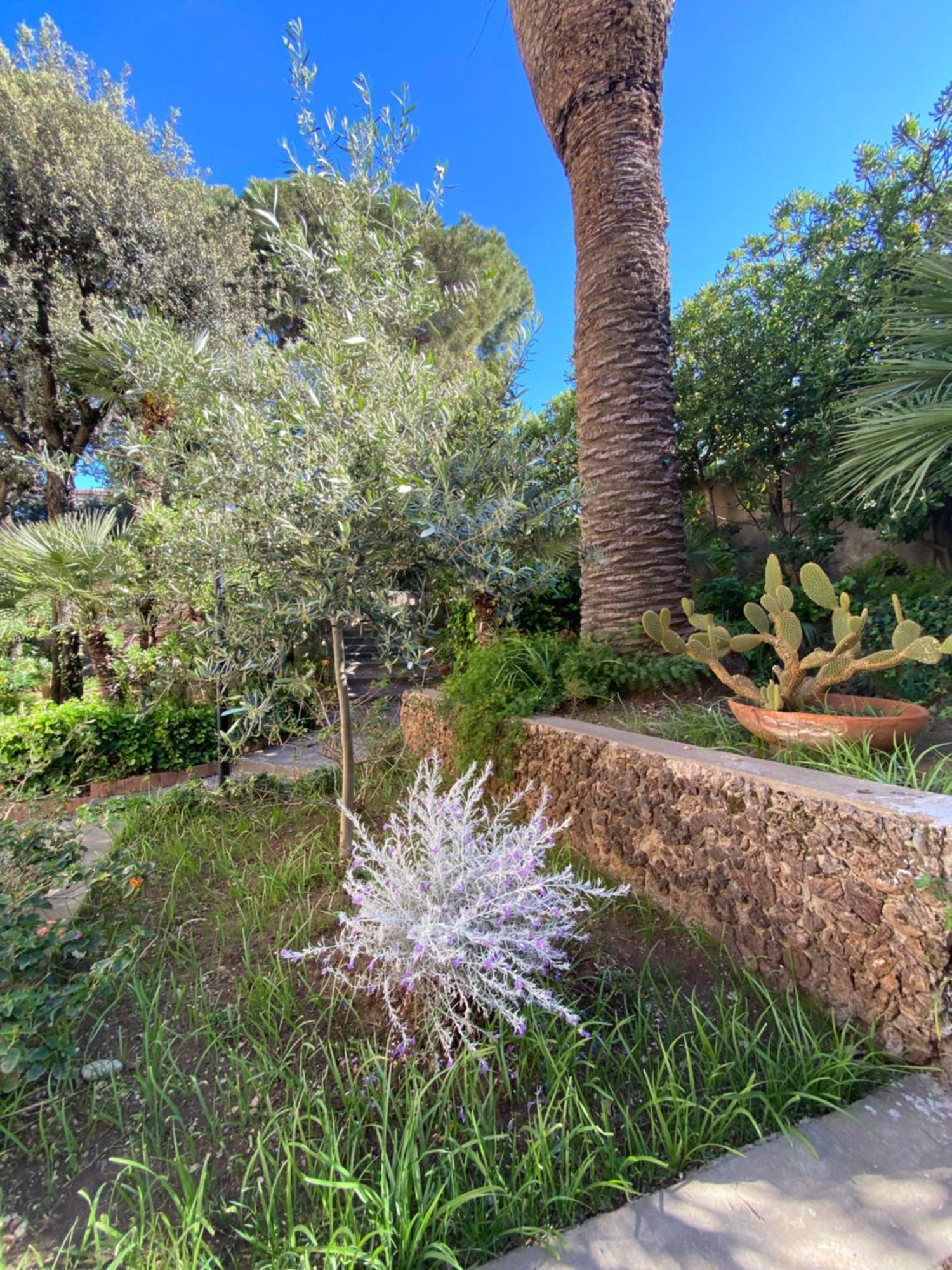 Villa Il Boschetto San Vincenzo Eksteriør billede